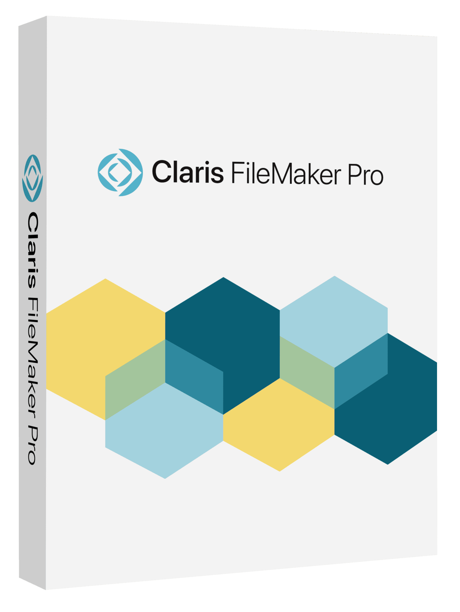 Filemaker Pro Advanced Edition