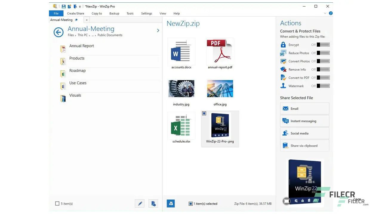 Download Winzip Pro  Free