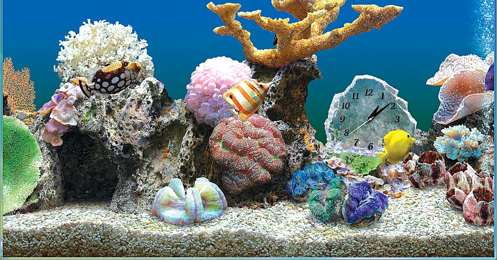 Marine Aquarium Deluxe Serial Keys 