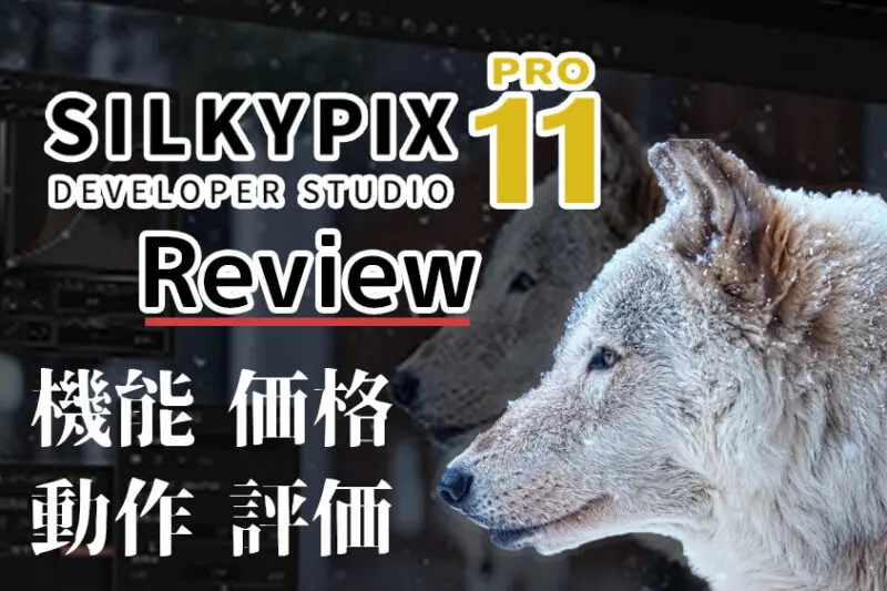 Download Silkypix Developer Studio Pro 11 With Activation Code