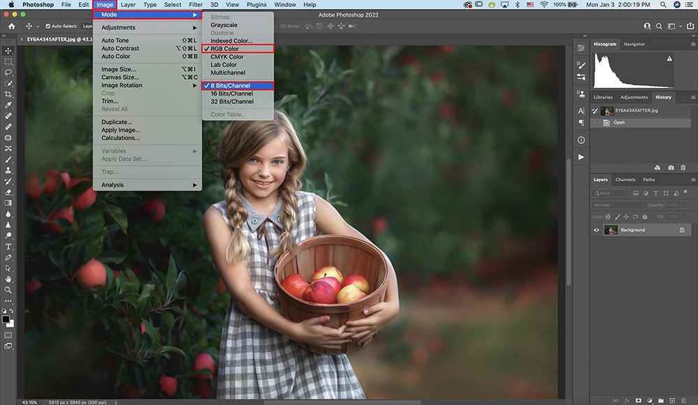 Adobe Photoshop 2022 For Mac Patched Full Version