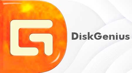 DiskGenius Professional logo on orange background.