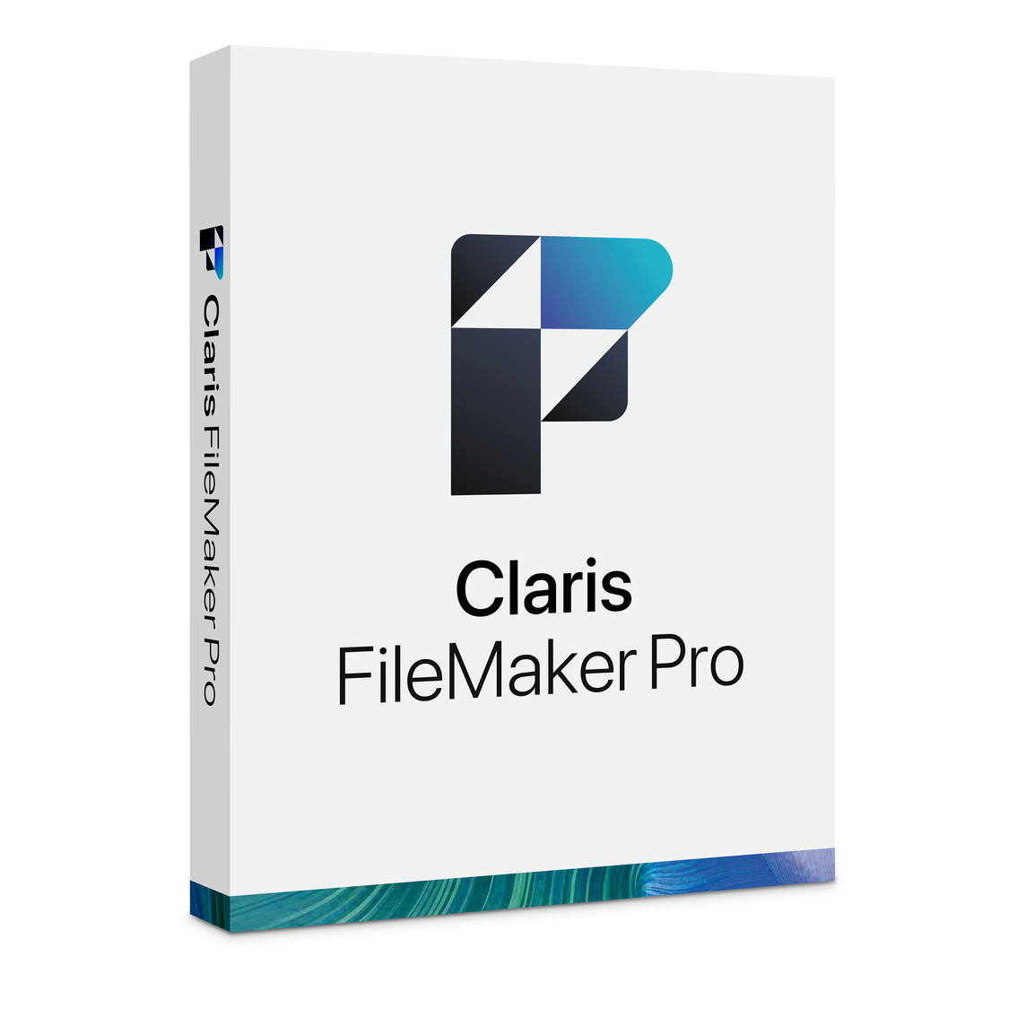 1. Image of Claris FileMaker Pro 2019 software interface showcasing database management features and user-friendly design.